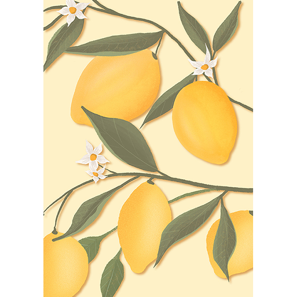 Carte postale Citrons