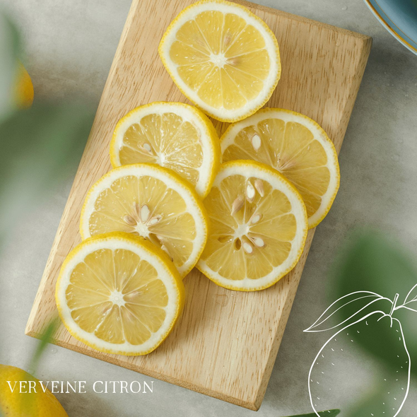 Bougie parfumée artisanale cire végétale - Verveine Citron