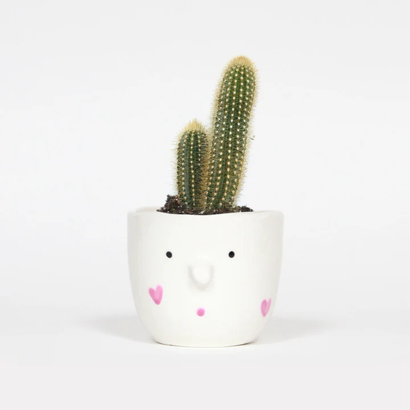 Le cache-pot - Pink my Lady