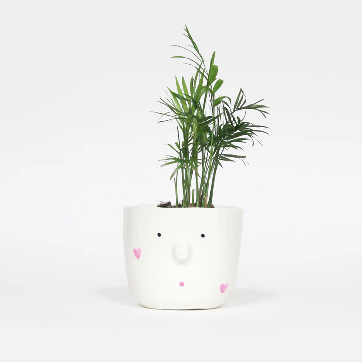 Le maxi cache-pot - Pink my Lady