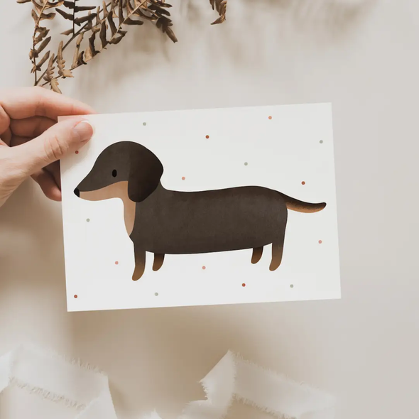 Carte postale Teckel