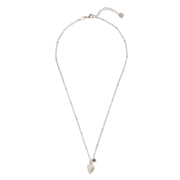 Collier Convaincu Lapis Lazuli - Plaqué argent