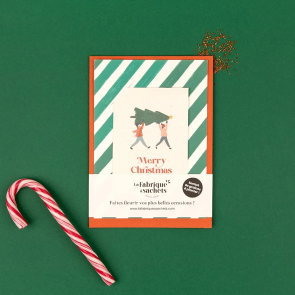 Carte de voeux - graines à semer - Merry Christmas
