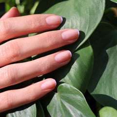 Vernis à ongles semi permanent LED - Lisa Lilas