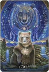 Oracle des Animaux Guérisseurs