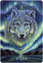 Oracle des Animaux Guérisseurs