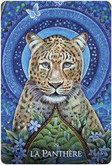 Oracle des Animaux Guérisseurs