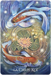 Oracle des Animaux Guérisseurs