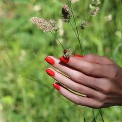 Vernis à ongles semi permanent LED - Red Coral