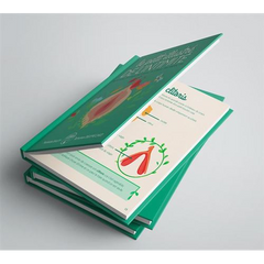 Le petit illustré de l'intimité - de la vulve, du vagin, de l'utérus, du clitoris, des règles, etc.