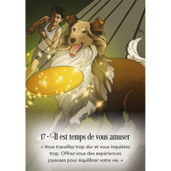 Cartes oracle L'épée de lumière