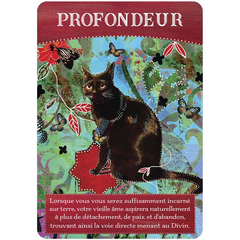 Cartes oracle Abondance divine