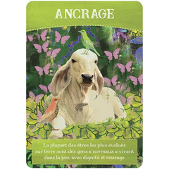 Cartes oracle Abondance divine