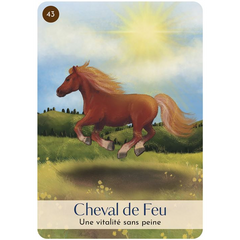 Cartes oracle Les 5 éléments
