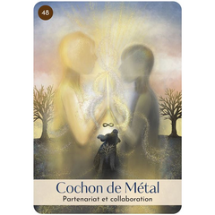 Cartes oracle Les 5 éléments