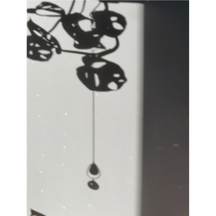 Suncatcher Astro Eau