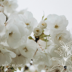 Bougie parfumée artisanale cire végétale - Musc Blanc