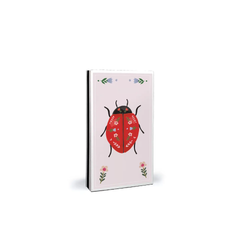 Allumettes "Coccinelle"