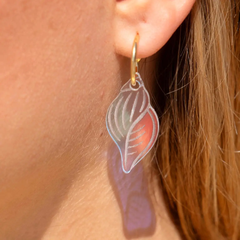 Boucles d'oreilles Créoles Coquillages Spirales