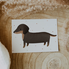 Carte postale Teckel