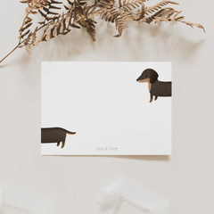 Carte postale Teckel