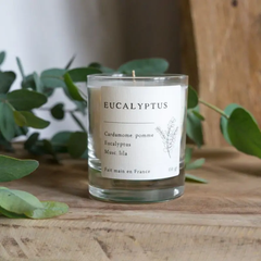Bougie parfumée artisanale cire végétale - Eucalyptus