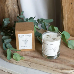Bougie parfumée artisanale cire végétale - Eucalyptus