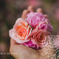 Bougie parfumée artisanale cire végétale - Bois de rose