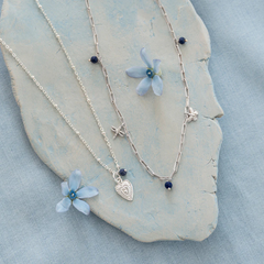 Collier Convaincu Lapis Lazuli - Plaqué argent