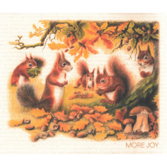 Essuie-tout Ecureuils