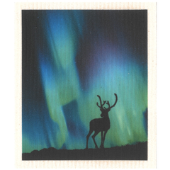 Essuie-tout Aurore boréale