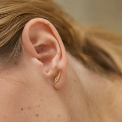 Trio de puces Feuille