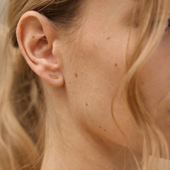 Trio de puces Feuille