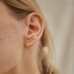 Trio de puces Feuille