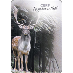 L'oracle du peuple des sages