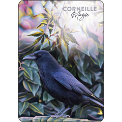 L'oracle du peuple des sages