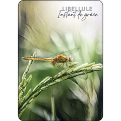 L'oracle du peuple des sages