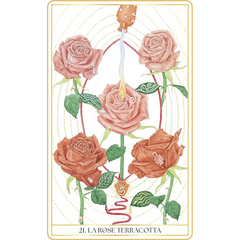 L'oracle des Roses Médecine