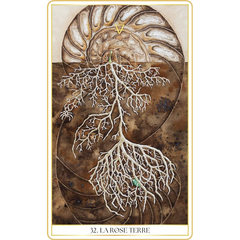 L'oracle des Roses Médecine