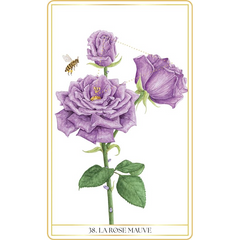 L'oracle des Roses Médecine