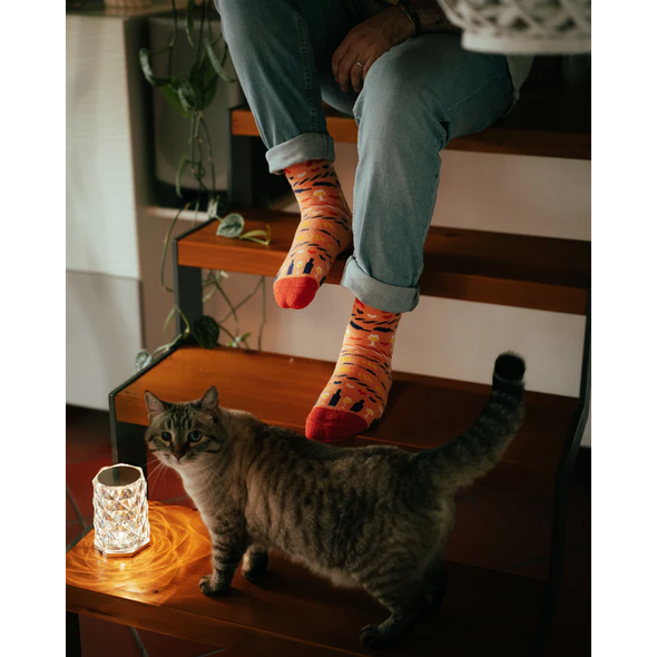 Chaussettes chaudes Katten