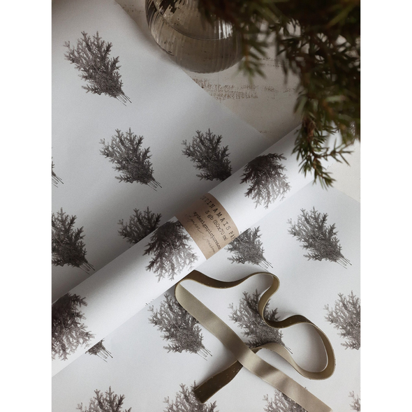 Set de 3 papiers cadeaux kraft -  Epicéa papier blanc
