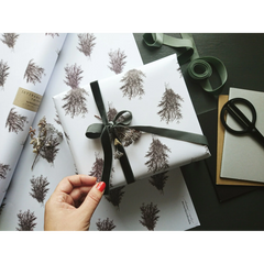 Set de 3 papiers cadeaux kraft -  Epicéa papier blanc