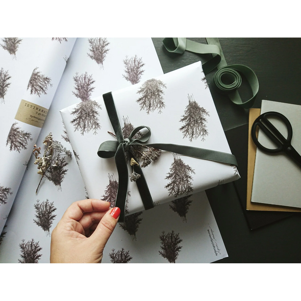 Set de 3 papiers cadeaux kraft -  Epicéa papier blanc