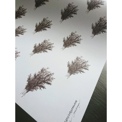 Set de 3 papiers cadeaux kraft -  Epicéa papier blanc