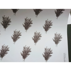 Set de 3 papiers cadeaux kraft -  Epicéa papier blanc