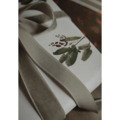 Ruban de velours vert sauge