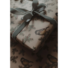 Ruban de velours vert sauge