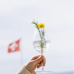 Le Botanique - apéritif sans alcool