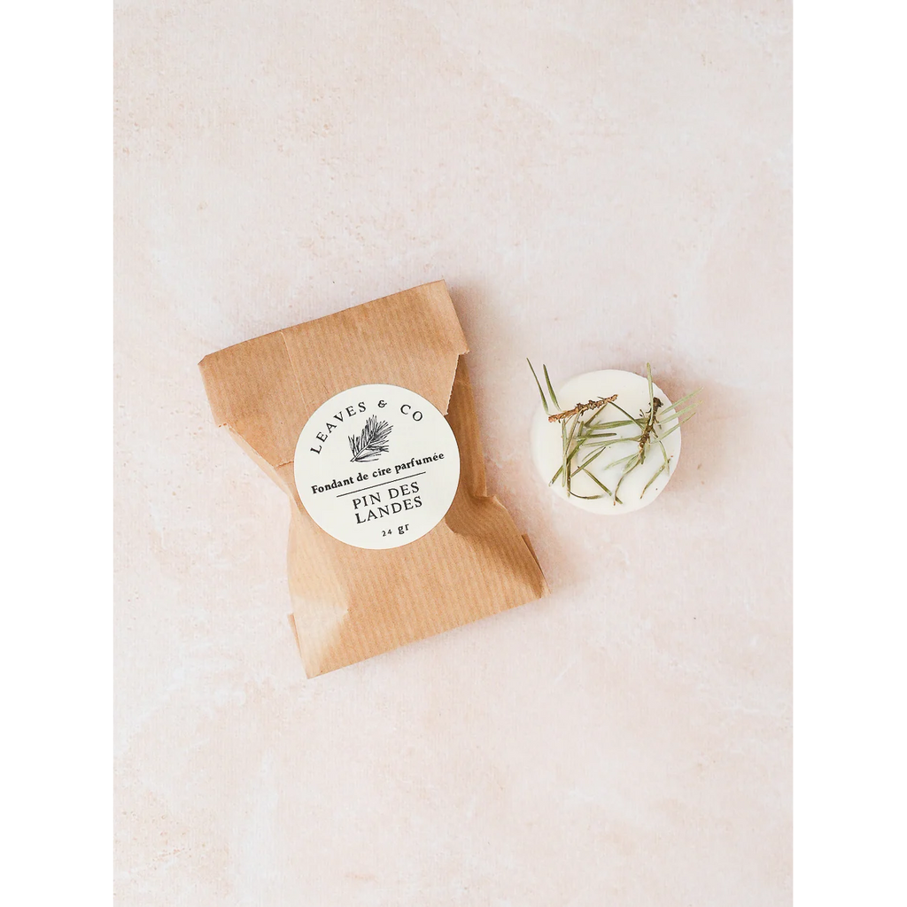 Fondants de cire - Pin des Landes